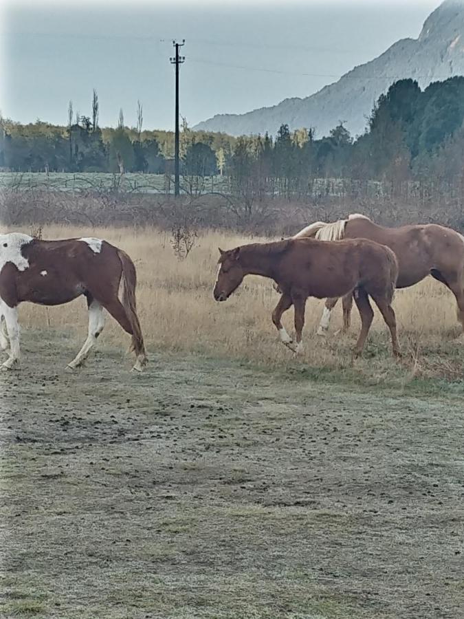 Cabanas Parque Chaqueihua Hornopiren Zewnętrze zdjęcie
